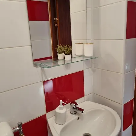 Flower - 2 Apartment Cluj-Napoca