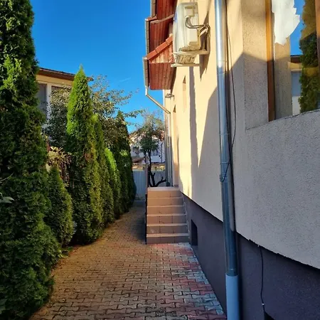 Flower - 2 클루지나포카