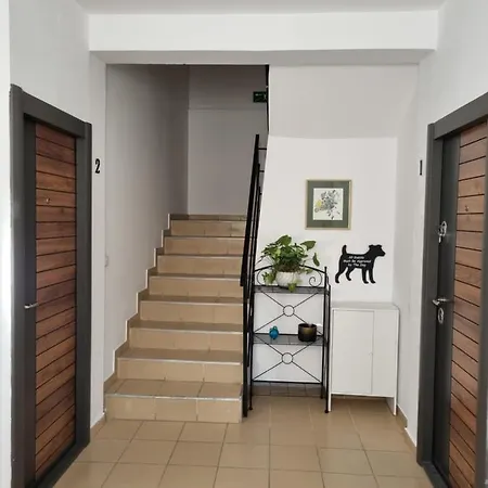 Flower - 2 Apartment *