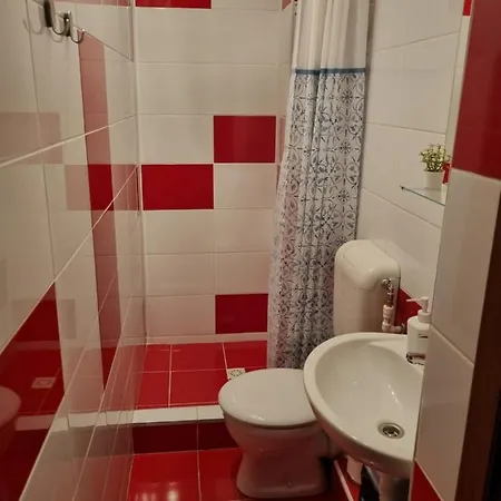 Flower - 2 클루지나포카