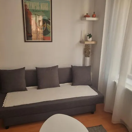 Flower - 2 * Cluj-Napoca