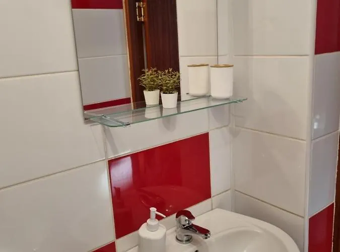 Flower - 2 Апартаменти Клуж-Напока