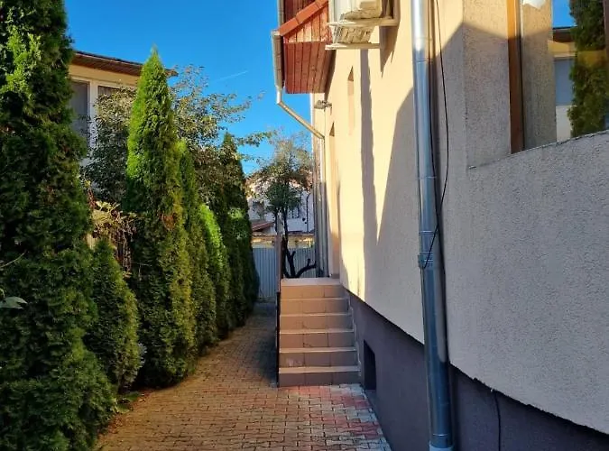 Flower - 2 클루지나포카